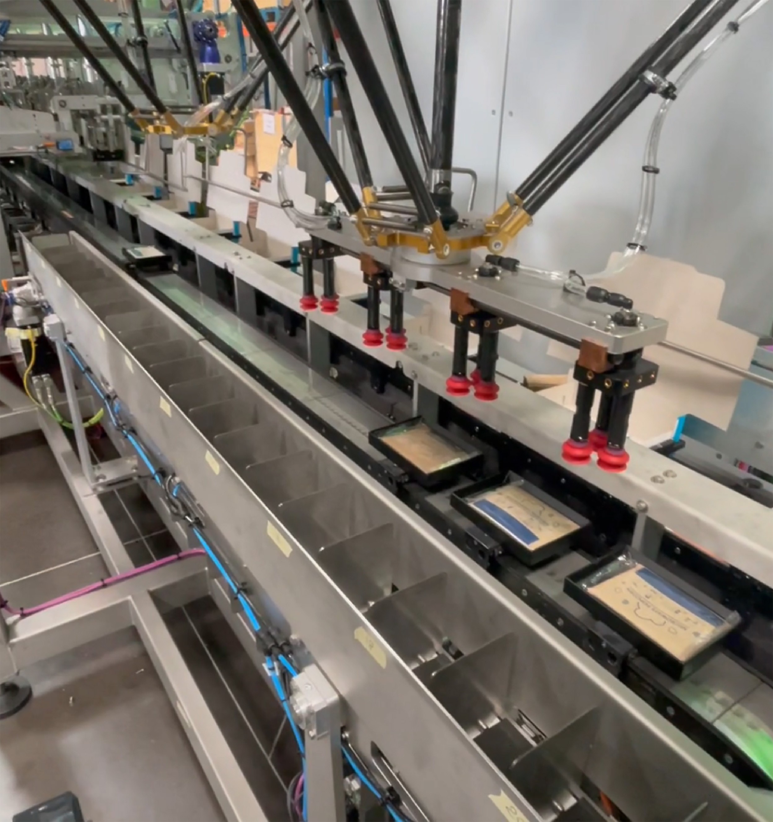 ETUYEUSE MG TECH POUR LE MARCHE DE L'EPICERIE SUCREE
