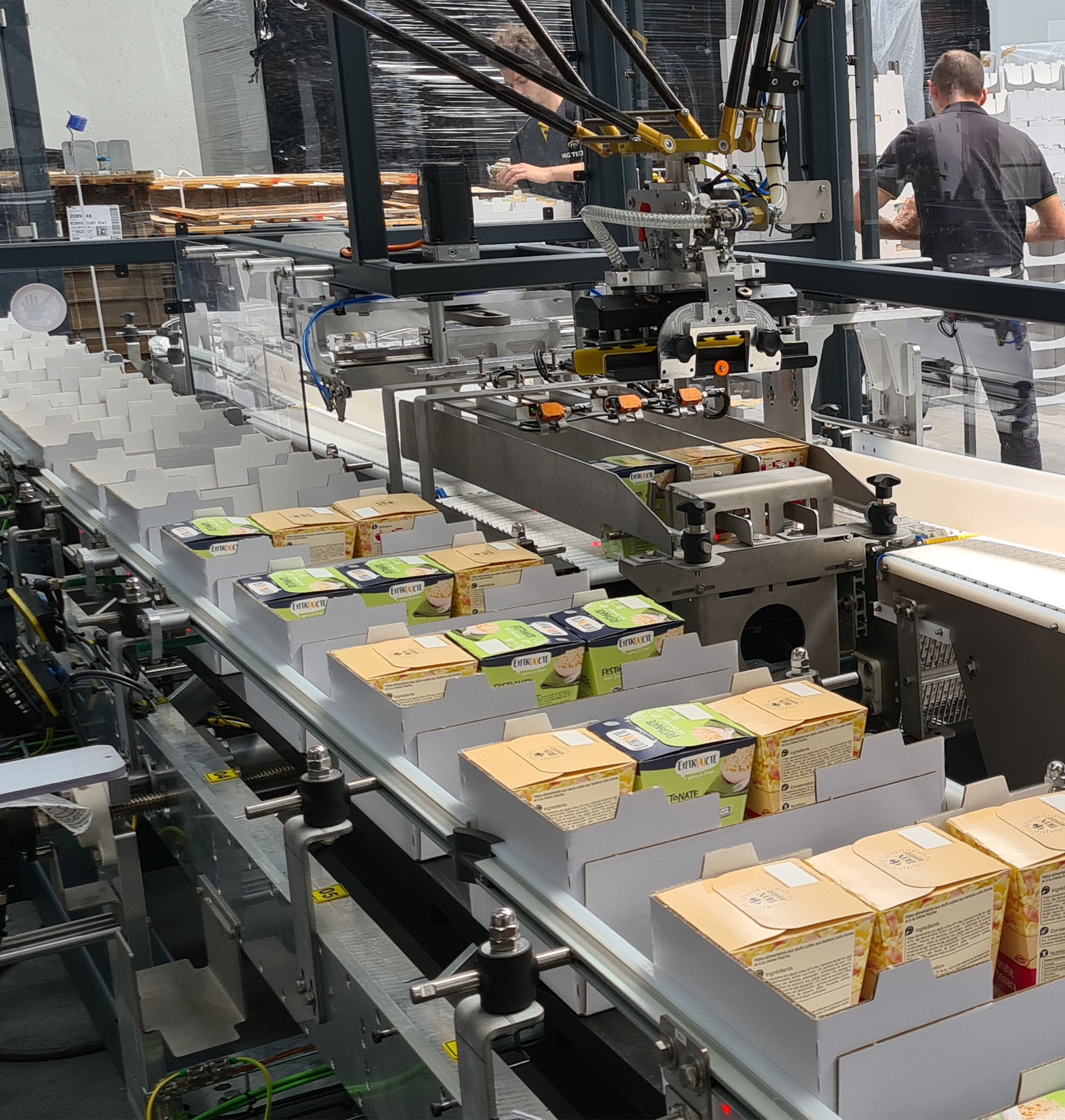 Encajadora top load PM-TL100 MG Tech