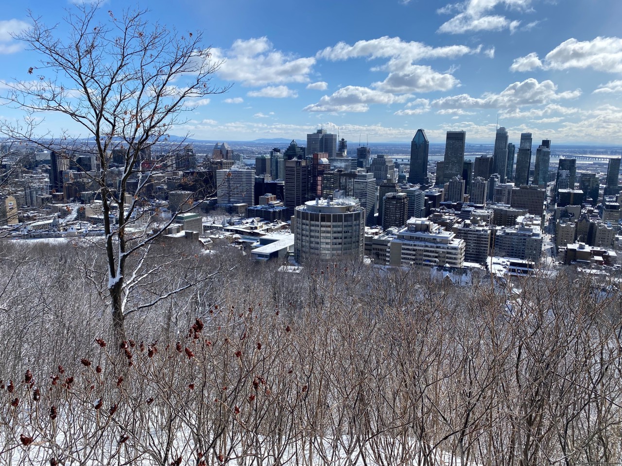 MG Tech ouvre sa filiale à Montréal - Canada