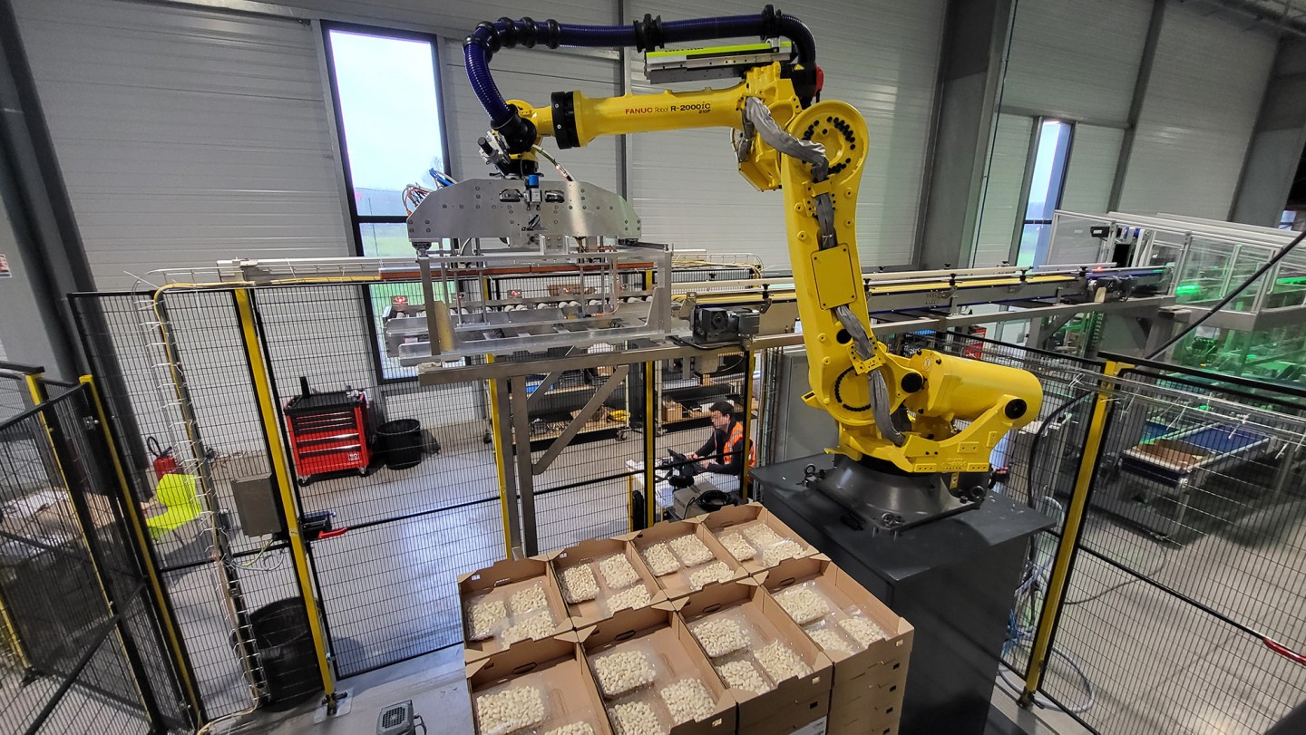 Etude de cas - Palettiseurs pour produits de la mer