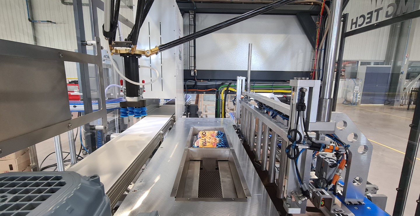 Case study - Top load case packer - Cushion pouches